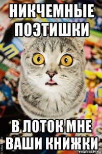 никчемные поэтишки в лоток мне ваши книжки