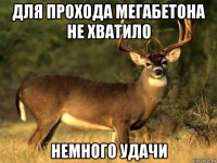 для прохода мегабетона не хватило немного удачи