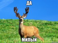 да милый