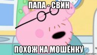 папа - свин похож на мошёнку