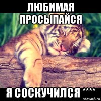любимая просыпайся я соскучился ****