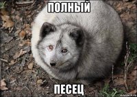 полный песец