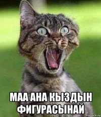  маа ана кыздын фигурасынай