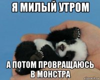 я милый утром а потом провращаюсь в монстра