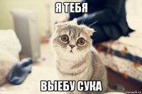я тебя выебу сука