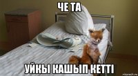 че та уйкы кашып кеттi