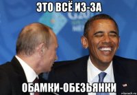 это всё из-за обамки-обезьянки