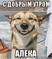с добрым утром алека
