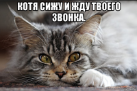 котя сижу и жду твоего звонка. 