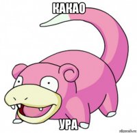 какао ура