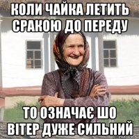 коли чайка летить сракою до переду то означає шо вітер дуже сильний