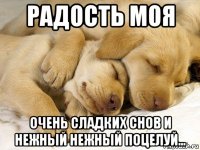 радость моя очень сладких снов и нежный нежный поцелуй...