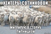 хейтеры сотниковой мигрирую в сторну липницкой