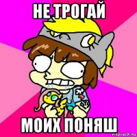 не трогай моих поняш