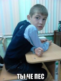  ты че пес