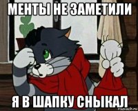 менты не заметили я в шапку сныкал