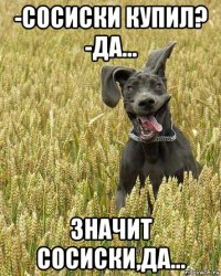 -сосиски купил? -да... значит сосиски,да...