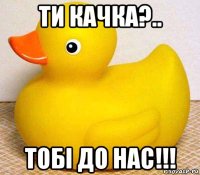 ти качка?.. тобі до нас!!!