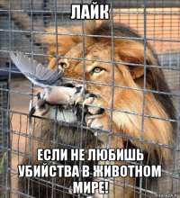 лайк если не любишь убийства в животном мире!