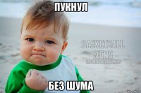 пукнул без шума