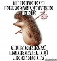 я в зону своего комфорта не допускаю никого лишь только чай печенье гугыл ещё любимого ежа