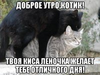 доброе утро,котик! твоя киса леночка желает тебе отличного дня!