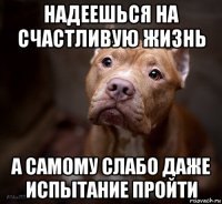 надеешься на счастливую жизнь а самому слабо даже испытание пройти
