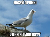 нахуй пробы одни и тежи жрут