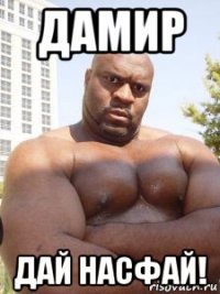 дамир дай насфай!