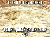 ты ня міе сумленне тады давай сюды гімн сцяг