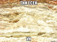 тни есен ун