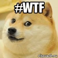 #wtf 