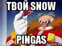 твой snow pingas