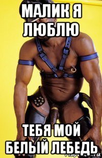 малик я люблю тебя мой белый лебедь