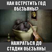 как встретить год обезьяны? нажраться до стадии обезьяны