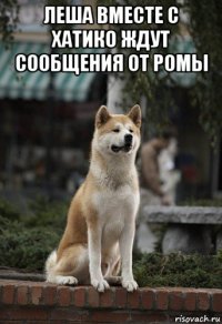 леша вместе с хатико ждут сообщения от ромы 
