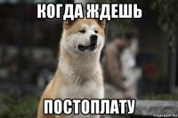 когда ждешь постоплату