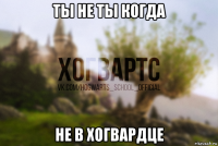 ты не ты когда не в хогвардце