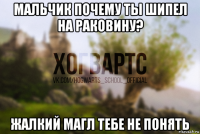 мальчик почему ты шипел на раковину? жалкий магл тебе не понять