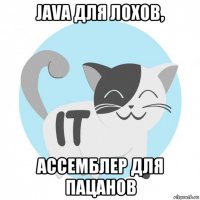 java для лохов, ассемблер для пацанов
