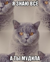 я знаю всё а ты мудила