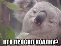  кто просил коалку?
