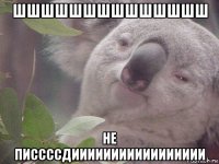 шшшшшшшшшшшшшш не писсссдиииииииииииииииии