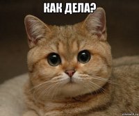 как дела? 
