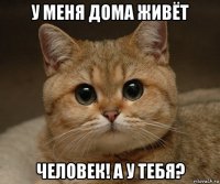 у меня дома живёт человек! а у тебя?