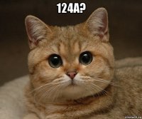 124а? 