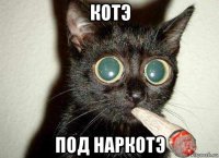 котэ под наркотэ