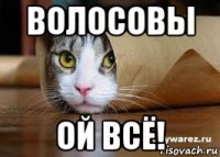 волосовы ой всё!