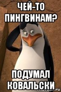 чей-то пингвинам? подумал ковальски
