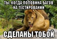 ты, когда половина багов на тестировании сделаны тобой